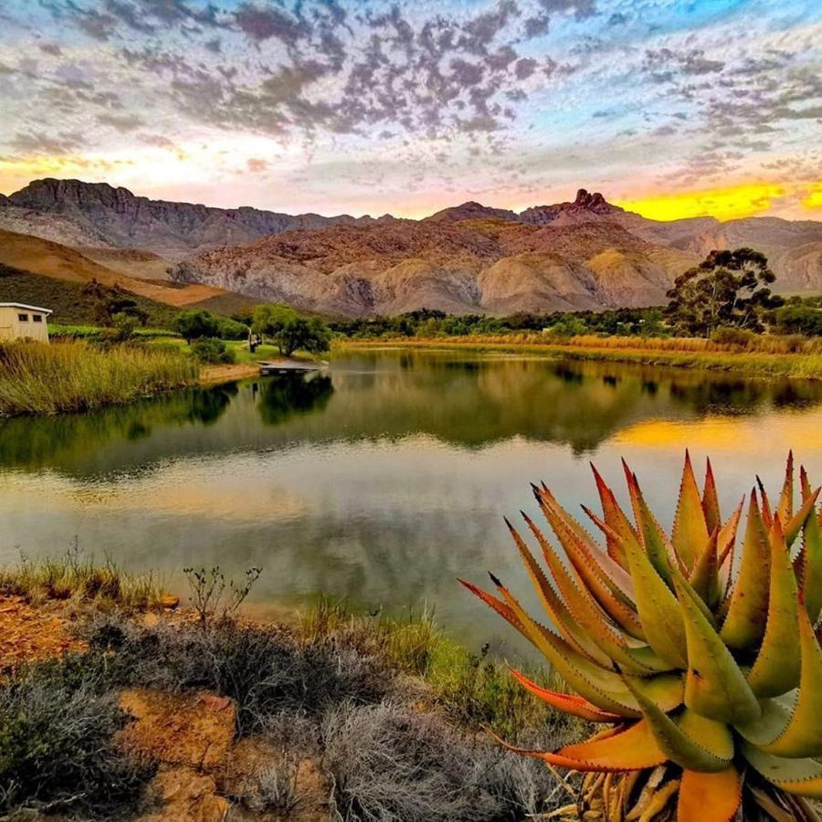 Oaksrest Vineyards Guest Farm Hotel Ladismith Luaran gambar